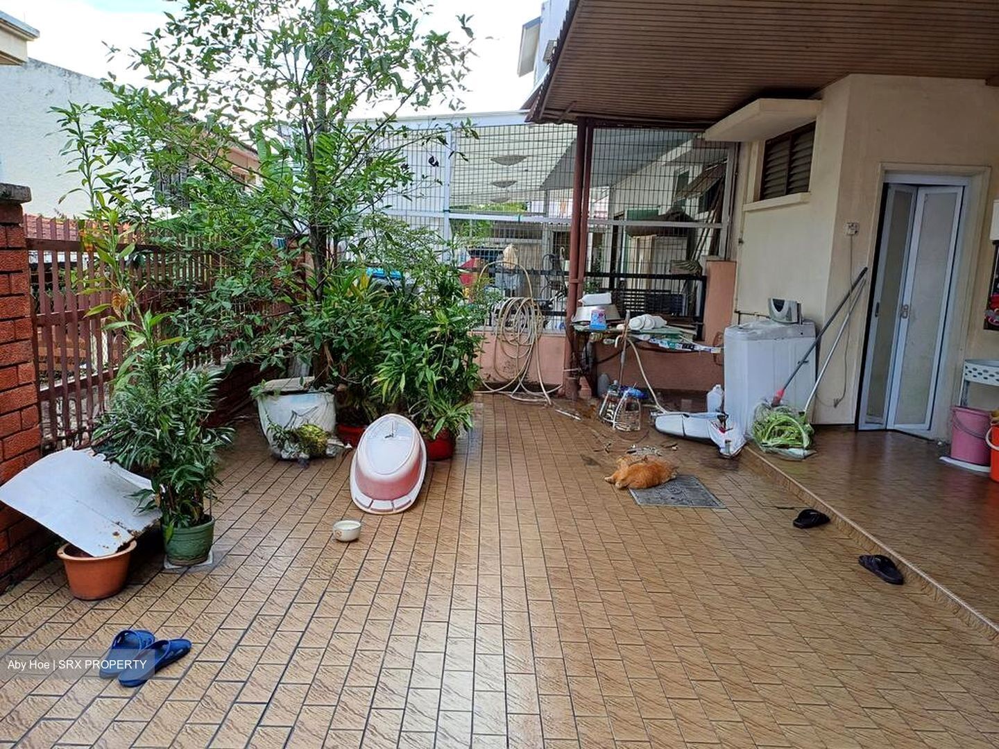 Tuan Sing Park (D28), Semi-Detached #503507461